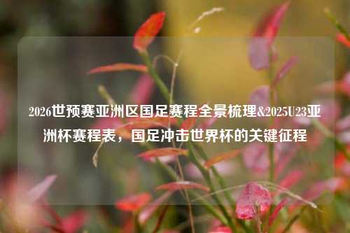 2026世预赛亚洲区国足赛程全景梳理&2025U23亚洲杯赛程表，国足冲击世界杯的关键征程