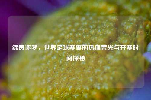 绿茵逐梦,世界足球赛事的热血荣光与开赛时间探秘
