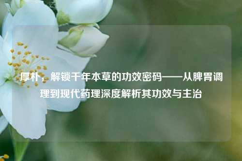 厚朴，解锁千年本草的功效密码——从脾胃调理到现代药理深度解析其功效与主治
