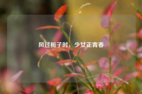 风过栀子时，少女正青春