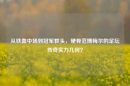 从铁血中场到冠军教头,硬骨范博梅尔的足坛传奇实力几何?