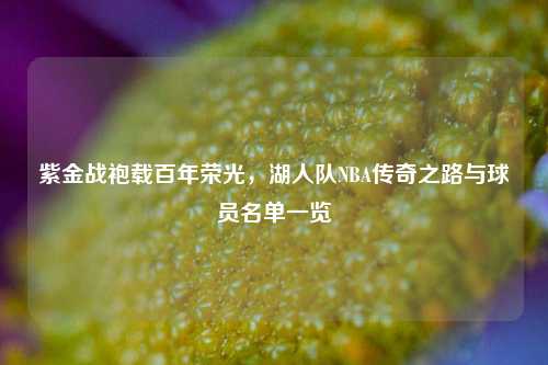 紫金战袍载百年荣光，湖人队NBA传奇之路与球员名单一览