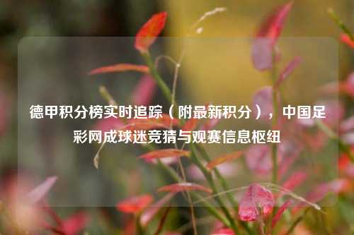 德甲积分榜实时追踪（附最新积分），中国足彩网成球迷竞猜与观赛信息枢纽