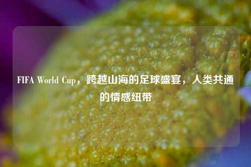 FIFA World Cup，跨越山海的足球盛宴，人类共通的情感纽带