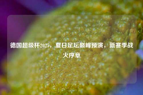 德国超级杯2025，夏日足坛巅峰预演，新赛季战火序章