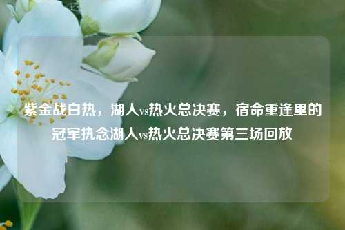 紫金战白热，湖人vs热火总决赛，宿命重逢里的冠军执念湖人vs热火总决赛第三场回放