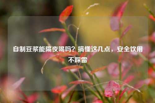 自制豆浆能隔夜喝吗？搞懂这几点，安全饮用不踩雷