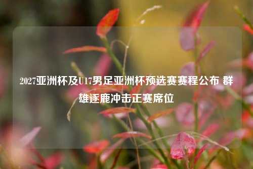 2027亚洲杯及U17男足亚洲杯预选赛赛程公布 群雄逐鹿冲击正赛席位