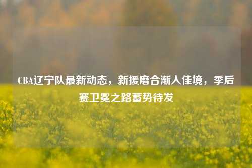 CBA辽宁队最新动态，新援磨合渐入佳境，季后赛卫冕之路蓄势待发