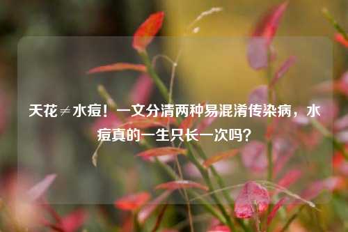 天花≠水痘！一文分清两种易混淆传染病，水痘真的一生只长一次吗？