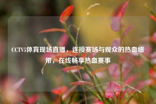 CCTV5体育现场直播,连接赛场与观众的热血纽带,在线畅享热血赛事