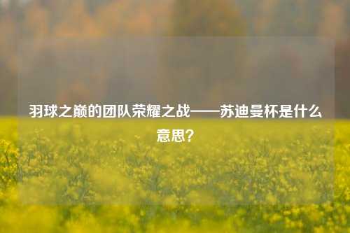 羽球之巅的团队荣耀之战——苏迪曼杯是什么意思？