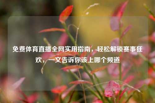 免费体育直播全网实用指南,轻松解锁赛事狂欢,一文告诉你该上哪个频道