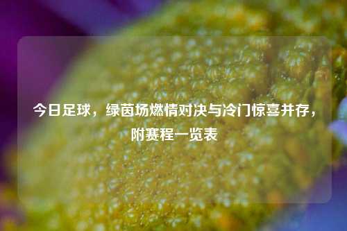 今日足球，绿茵场燃情对决与冷门惊喜并存，附赛程一览表