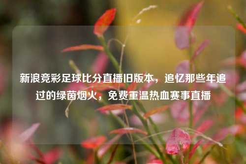 新浪竞彩足球比分直播旧版本，追忆那些年追过的绿茵烟火，免费重温热血赛事直播