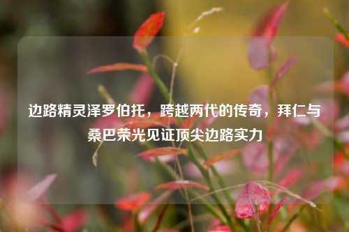 边路精灵泽罗伯托，跨越两代的传奇，拜仁与桑巴荣光见证顶尖边路实力