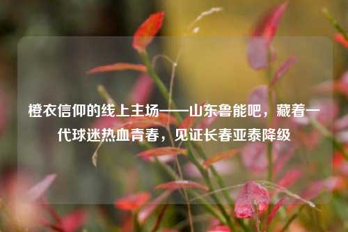 橙衣信仰的线上主场——山东鲁能吧，藏着一代球迷热血青春，见证长春亚泰降级