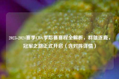 2023-2024赛季CBA季后赛赛程全解析,群雄逐鹿,冠军之路正式开启(含对阵详情)