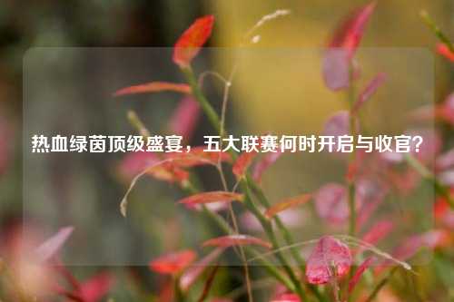 热血绿茵顶级盛宴，五大联赛何时开启与收官？