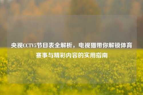 央视CCTV5节目表全解析，电视猫带你解锁体育赛事与精彩内容的实用指南