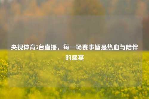 央视体育5台直播,每一场赛事皆是热血与陪伴的盛宴