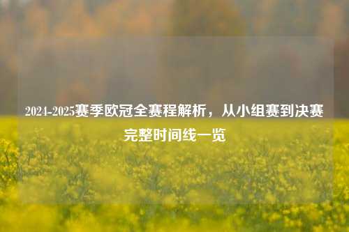 2024-2025赛季欧冠全赛程解析，从小组赛到决赛完整时间线一览