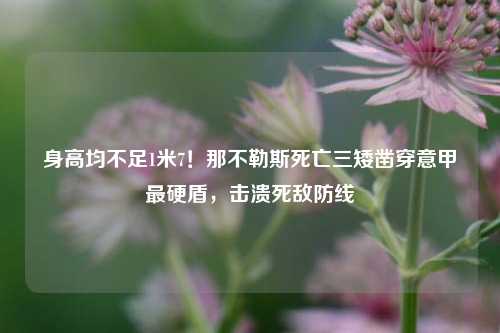 身高均不足1米7！那不勒斯死亡三矮凿穿意甲最硬盾，击溃死敌防线