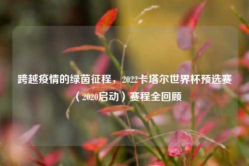 跨越疫情的绿茵征程，2022卡塔尔世界杯预选赛（2020启动）赛程全回顾