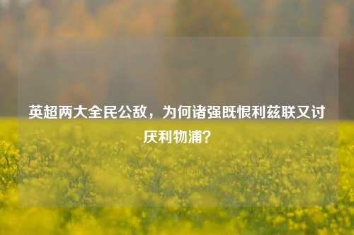 英超两大全民公敌，为何诸强既恨利兹联又讨厌利物浦？
