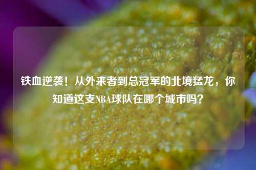 铁血逆袭!从外来者到总冠军的北境猛龙,你知道这支NBA球队在哪个城市吗?