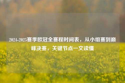 2024-2025赛季欧冠全赛程时间表，从小组赛到巅峰决赛，关键节点一文读懂