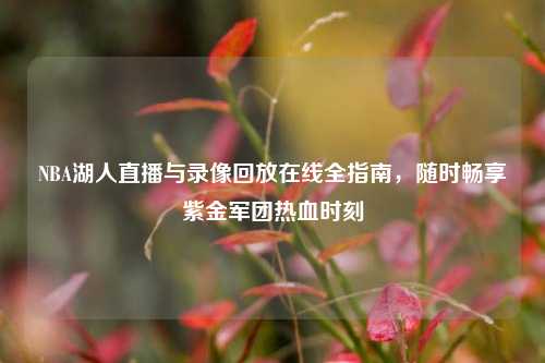 NBA湖人直播与录像回放在线全指南,随时畅享紫金军团热血时刻