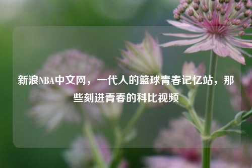 新浪NBA中文网，一代人的篮球青春记忆站，那些刻进青春的科比视频