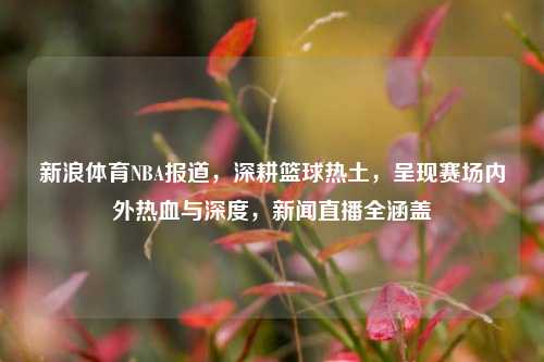 新浪体育NBA报道，深耕篮球热土，呈现赛场内外热血与深度，新闻直播全涵盖
