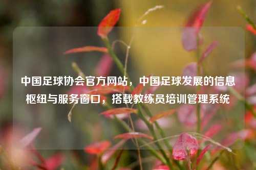中国足球协会官方网站，中国足球发展的信息枢纽与服务窗口，搭载教练员培训管理系统