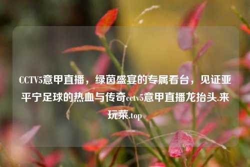 CCTV5意甲直播，绿茵盛宴的专属看台，见证亚平宁足球的热血与传奇cctv5意甲直播龙抬头.来玩菜.top