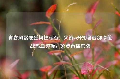 青春风暴硬碰韧性顽石！火箭vs开拓者西部卡位战热血碰撞，免费直播来袭