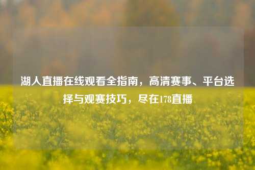 湖人直播在线观看全指南，高清赛事、平台选择与观赛技巧，尽在178直播