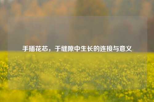 手插花芯，于缝隙中生长的连接与意义