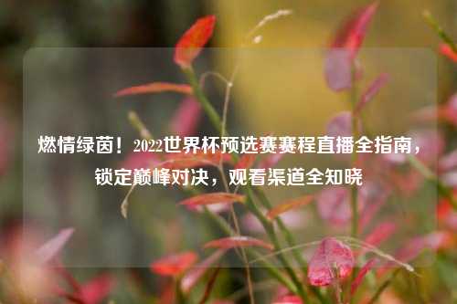 燃情绿茵!2022世界杯预选赛赛程直播全指南,锁定巅峰对决,观看渠道全知晓