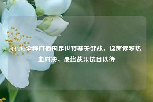 CCTV5全程直播国足世预赛关键战,绿茵逐梦热血对决,最终战果拭目以待