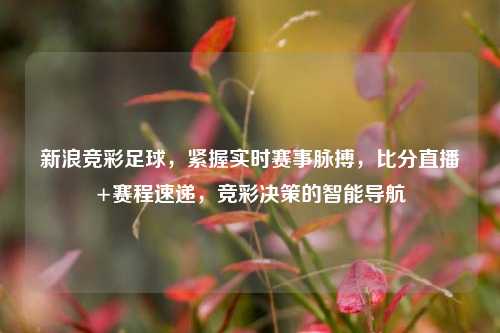 新浪竞彩足球，紧握实时赛事脉搏，比分直播+赛程速递，竞彩决策的智能导航