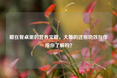 藏在餐桌里的营养宝藏，大薯的这些功效与作用你了解吗？