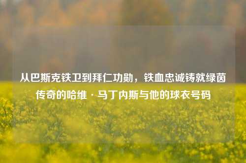从巴斯克铁卫到拜仁功勋，铁血忠诚铸就绿茵传奇的哈维·马丁内斯与他的球衣号码