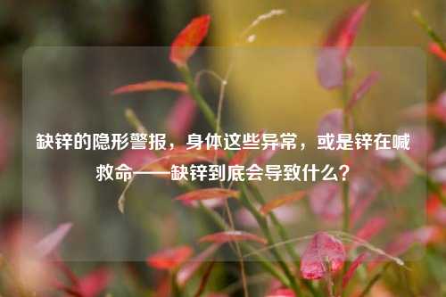 缺锌的隐形警报，身体这些异常，或是锌在喊救命——缺锌到底会导致什么？