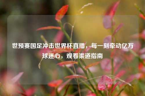 世预赛国足冲击世界杯直播，每一刻牵动亿万球迷心，观看渠道指南