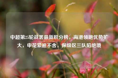 中超第25轮战罢最新积分榜，海港领跑优势扩大，申花紧追不舍，保级区三队陷绝境