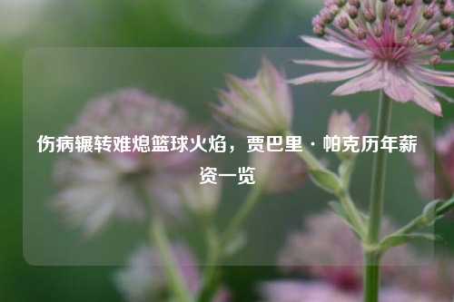 伤病辗转难熄篮球火焰，贾巴里·帕克历年薪资一览