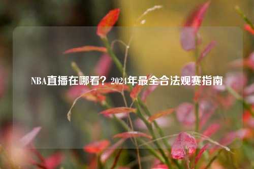 NBA直播在哪看?2024年最全合法观赛指南