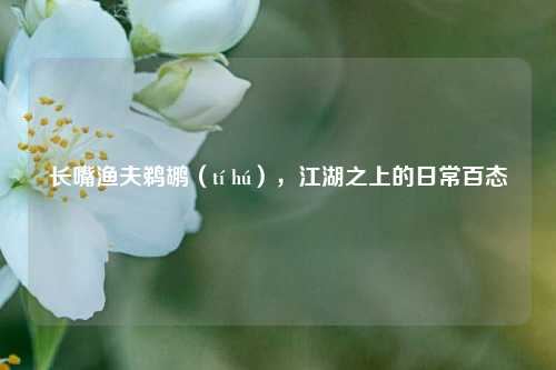长嘴渔夫鹈鹕（tí hú），江湖之上的日常百态